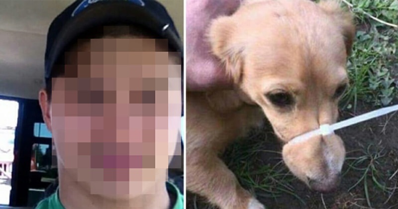 Outrage Unleashed: Man Ties Puppy’s Muzzle Shut And Sparks Fury Online