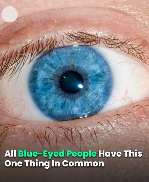 The Unique Genetic Link Among All Blue-Eyed People