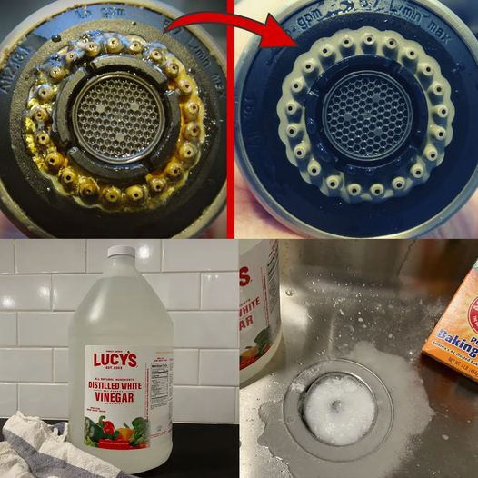 Easiest Way to Clean Your Shower Head 💥 (Unbelievable Result!)