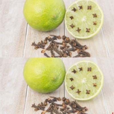 Why You Should Never Use Lemon and Cloves to Repel Mosquitoes (Or Should You?)