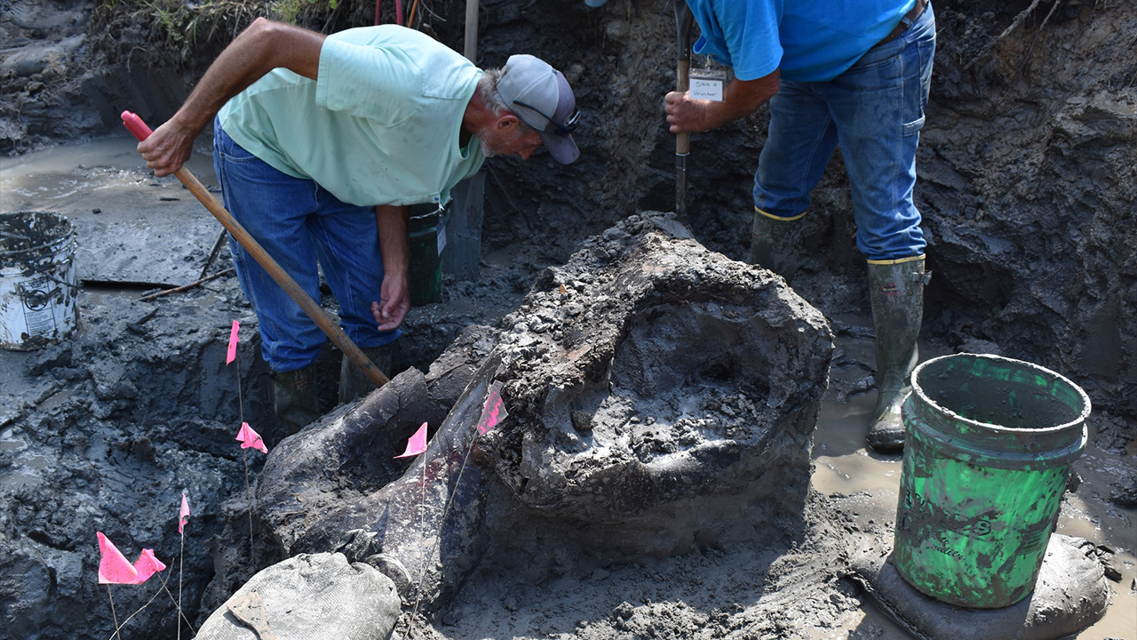 Archaeologists unearth 13,000-year-old mastodon skull in Iowa