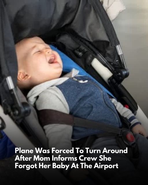 Plane Is Forced To Turn Around After Mom Realizes She Left Her Baby At The Airport