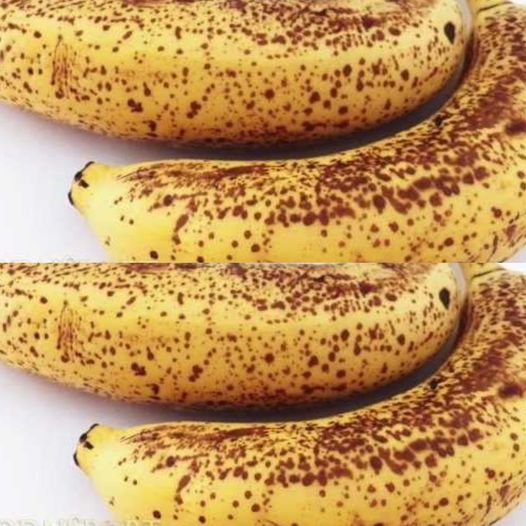 Top 10 Health Benefits of Bananas