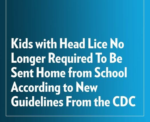 Kids with Head Lice No Longer Required To Be Sent Home from School According to the CDC