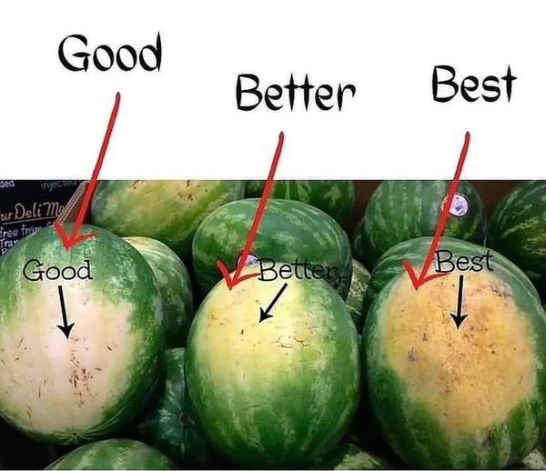 The Art of Selecting the Perfect Watermelon: A Guide to Sweetness and Ripeness