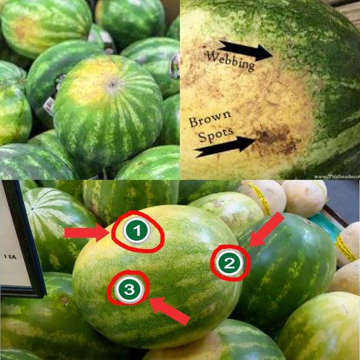 How to Pick a Sweet and Juicy Watermelon: 3 Things to Look For and How to Cut It Into Cubes