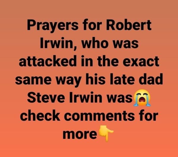 Prayers for Robert Irwin