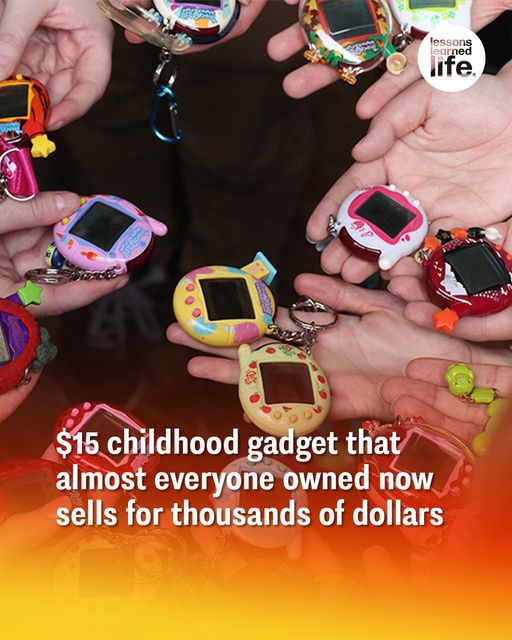 $15 childhood gadget that almost everyone owned now sells for thousands of dollars