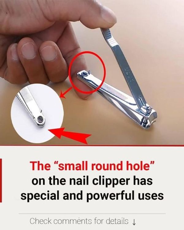 The Secret Power of Nail Clippers: The Surprising Uses of the “Small Round Hole” You Never Knew About