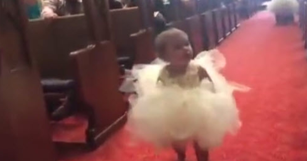 Unexpected Wedding Moment: Little Flower Girl’s Heartwarming Encounter