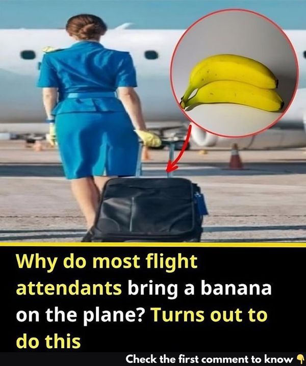 Bananas: More Than a Basic Snack