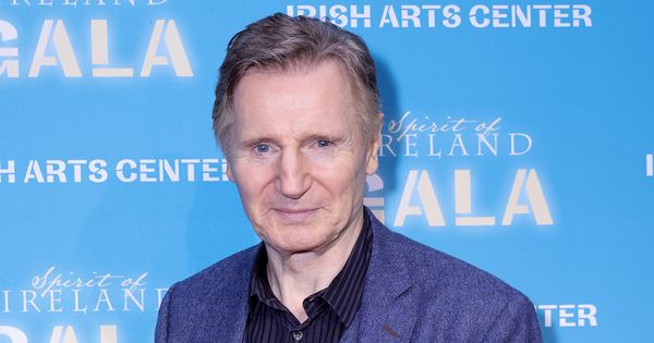 Liam Neeson Considers Retirement from Action Movies