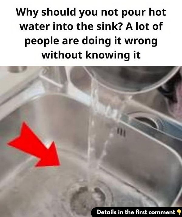 Shouldn’t you pour hot water into the sink?