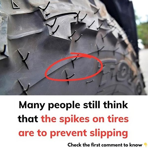 Unveiled: The Purpose and Power of Rubber Vent Spikes on Tires