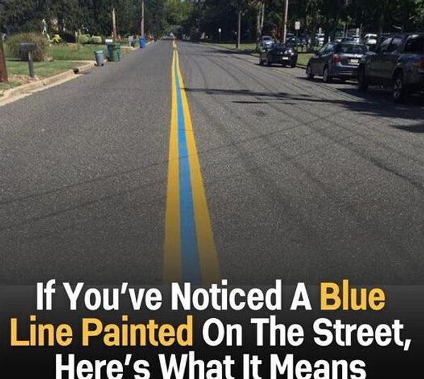 The Meaning Behind the Blue Line on the Street