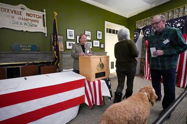 Voters cast their ballots, along with their furry friends. (AP Photo/Charles Krupa)